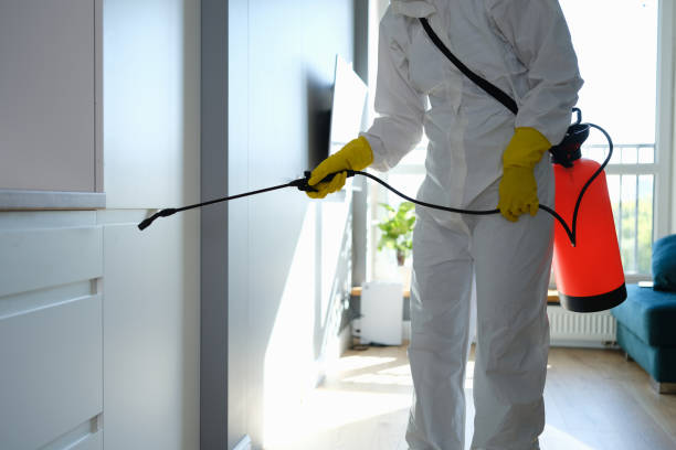 Best Preventive Mold Services in Trion, GA